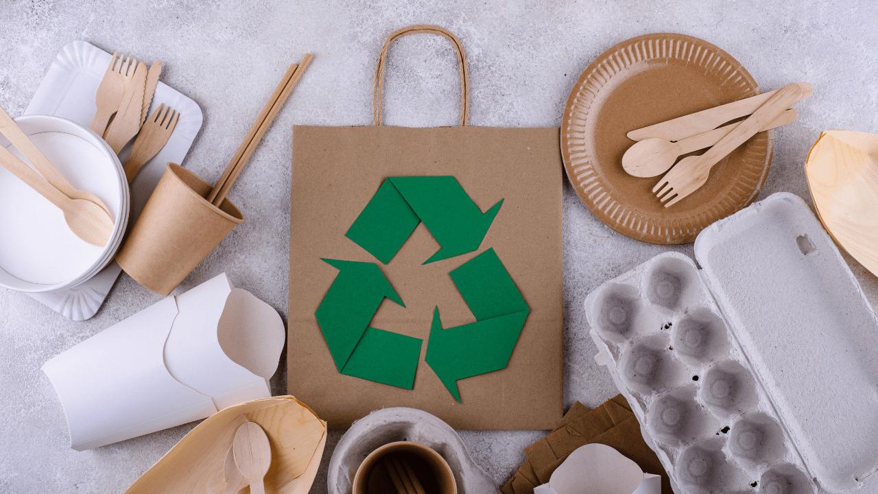 Artículos Sostenibles y Ecológicos