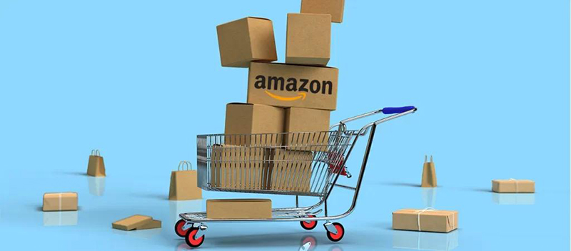 Cómo Triunfar en Amazon