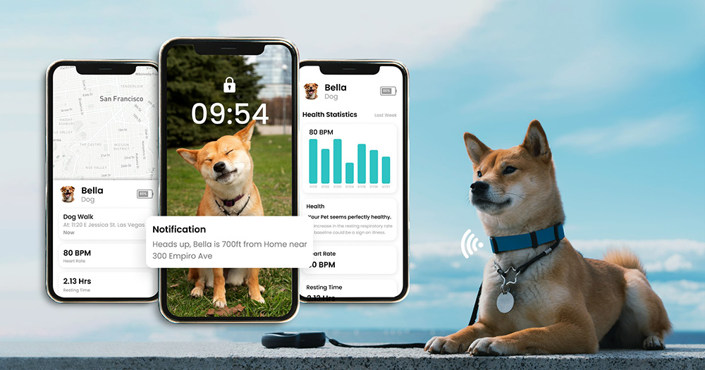 Tecnología Especializada para Mascotas