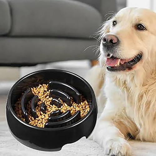 Productos para Mascotas