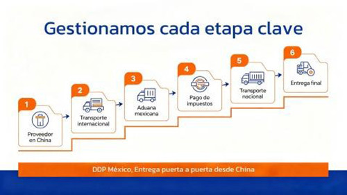 servicio DDP profesional